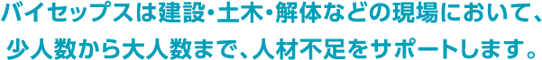 バイセップスは建設・土木・解体などの現場において、少人数から大人数まで、人材不足をサポートします。